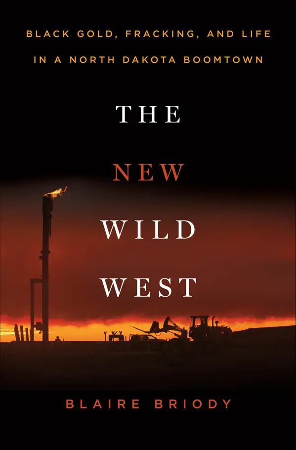 The New Wild West by Blaire Briody cover