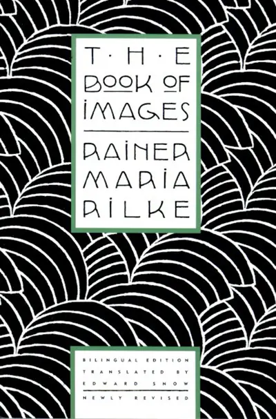 The Book of Images book cover