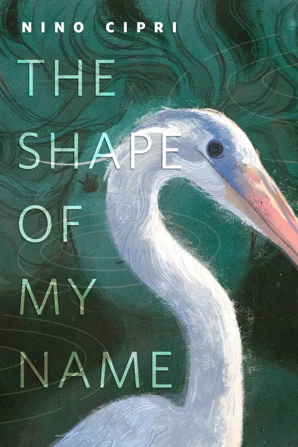 The Shape of My Name by Nino Cipri cover