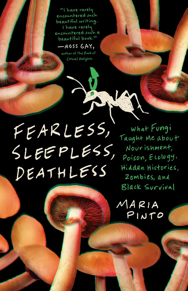 Fearless, Sleepless, Deathless by Maria Pinto cover