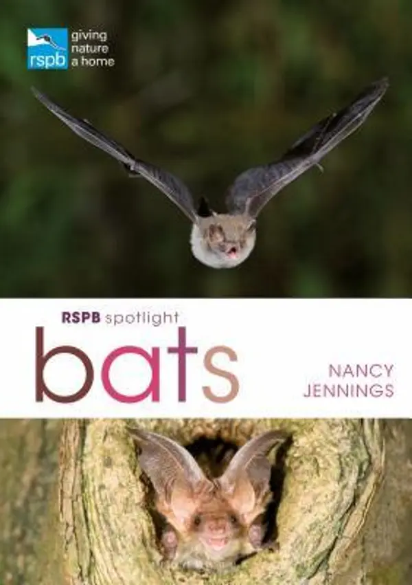RSPB Spotlight Bats by Nancy Jennings cover