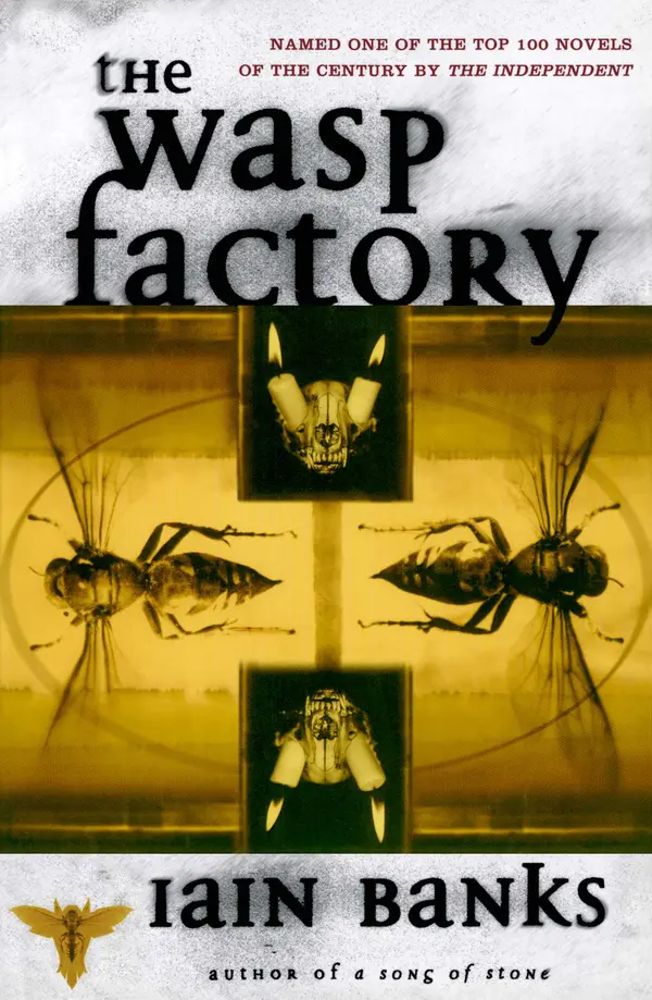 The Wasp Factory by Iain Banks cover