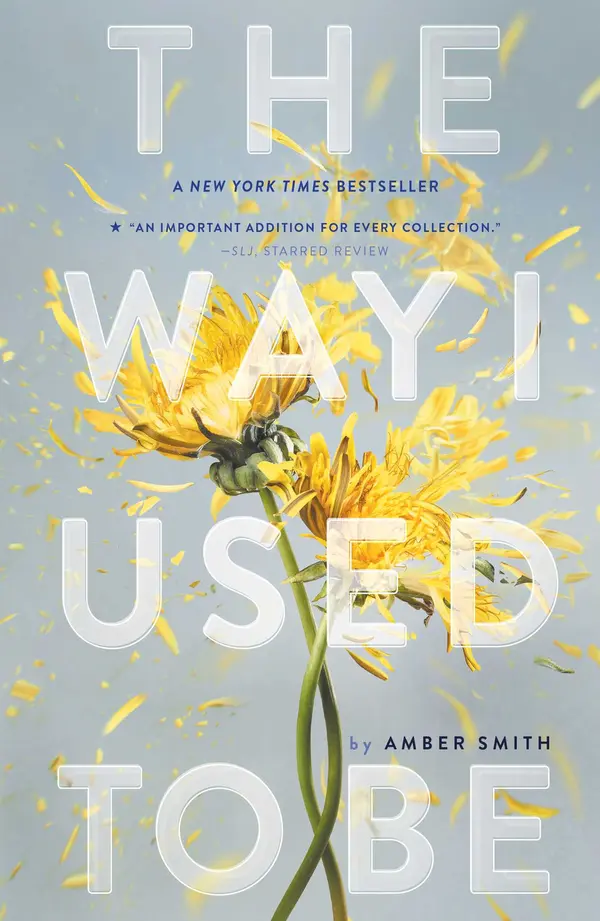 The Way I Used to Be by Amber Smith cover