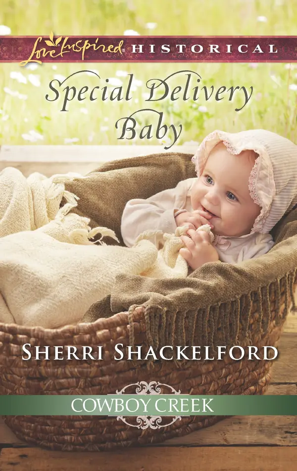 Special Delivery Baby by Sherri Shackelford cover