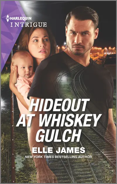 Hideout at Whiskey Gulch book cover
