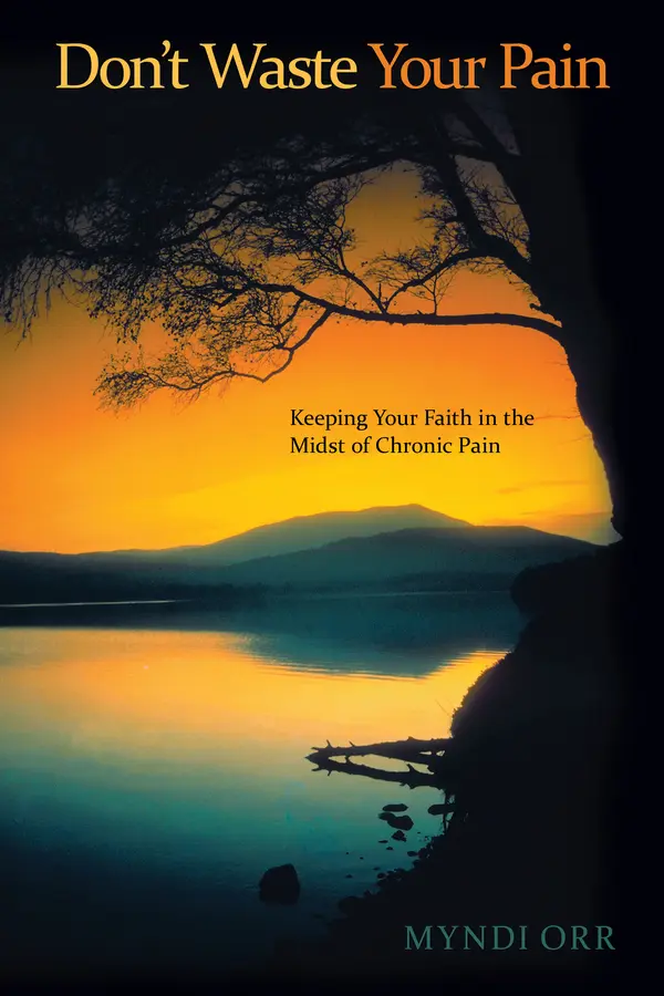 Don't Waste Your Pain by Myndi Orr cover