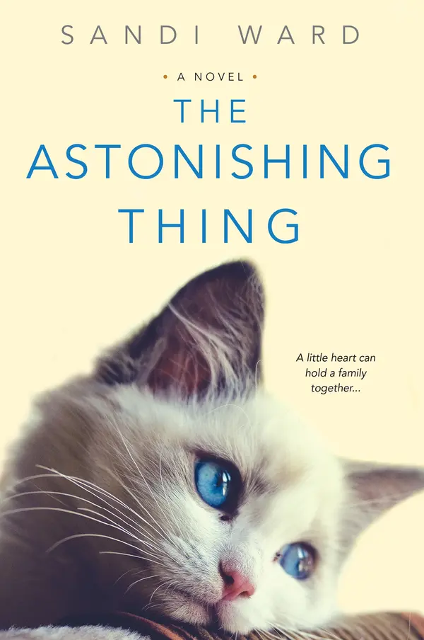 The Astonishing Thing by Sandi Ward cover
