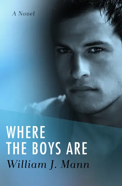 Where the Boys Are book cover