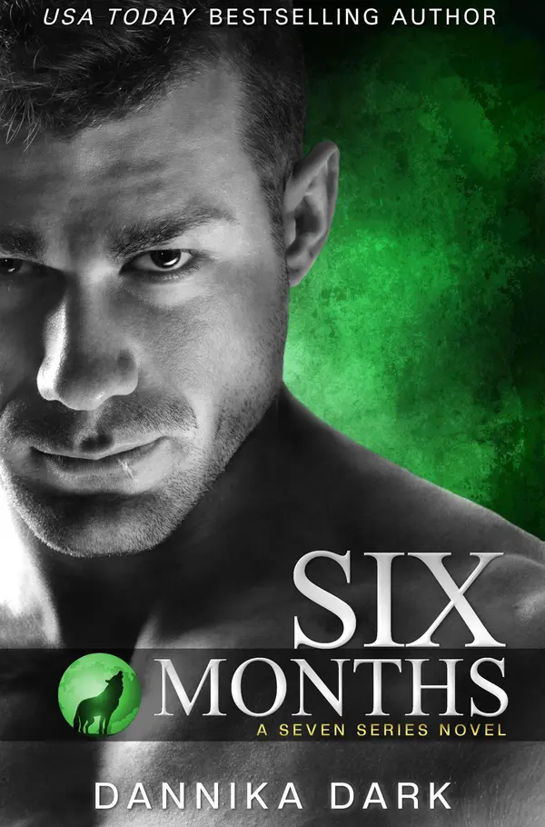 Six Months by Dannika Dark cover