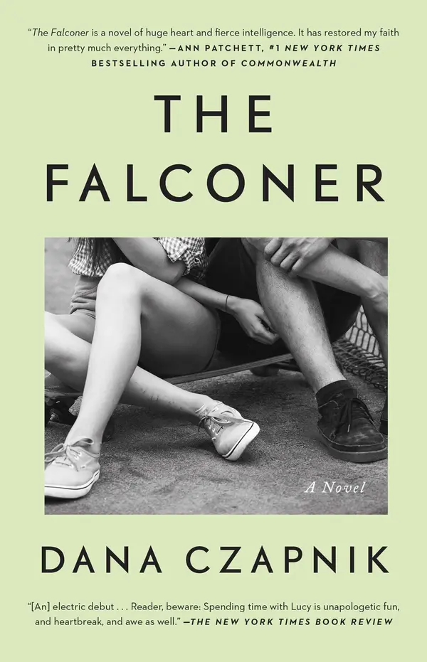 The Falconer by Dana Czapnik cover