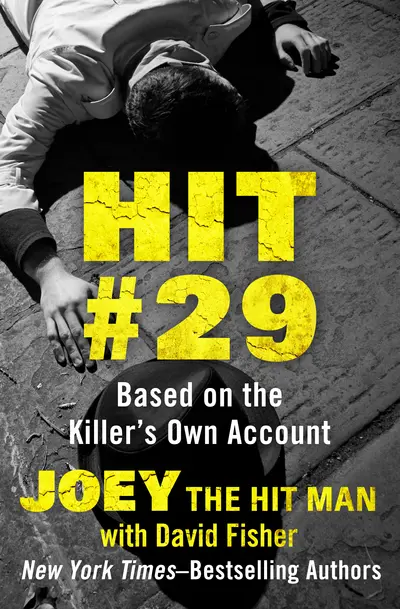 Hit #29 book cover