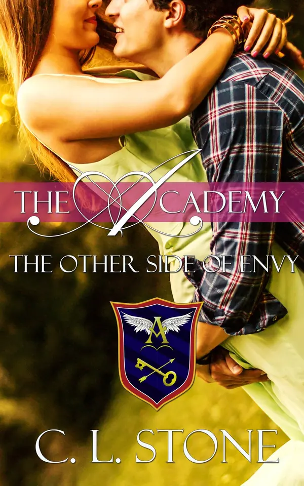 The Academy - The Other Side of Envy by C. L. Stone cover