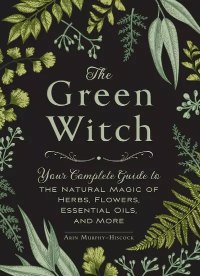 The Green Witch book cover