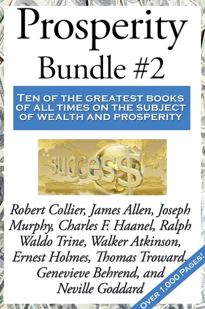 Prosperity Bundle #2 book cover