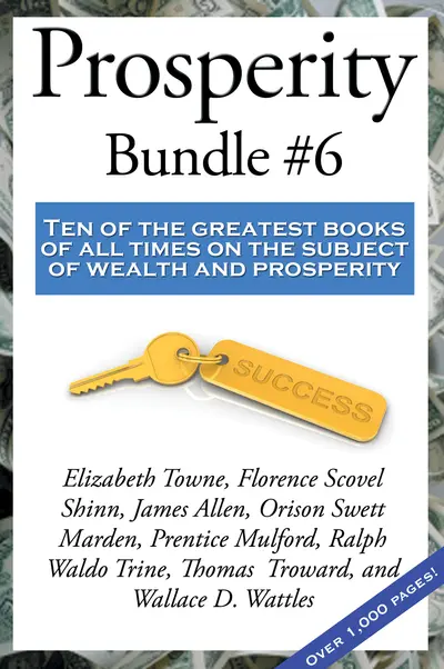 Prosperity Bundle #6 book cover