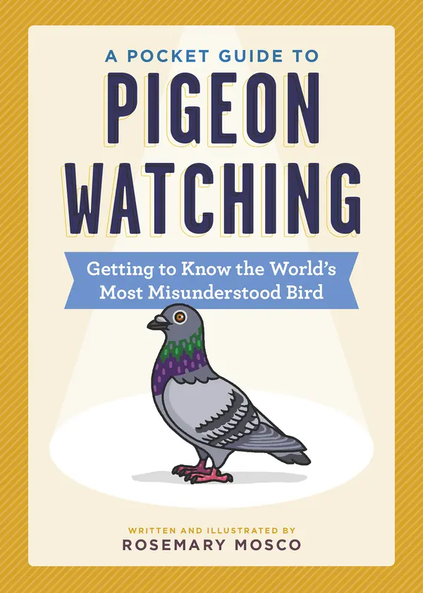 A Pocket Guide to Pigeon Watching by Rosemary Mosco cover