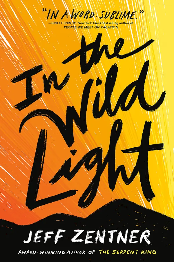 In the Wild Light by Jeff Zentner cover