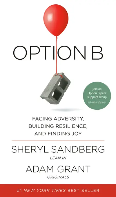 Option B book cover