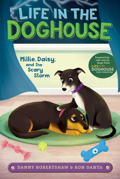 Millie, Daisy, and the Scary Storm book cover