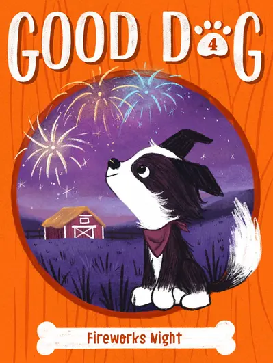 Fireworks Night book cover