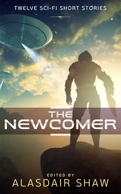 The Newcomer book cover