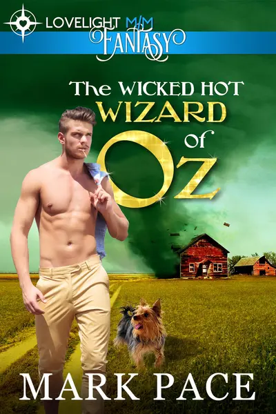 The Wicked Hot Wizard of Oz book cover
