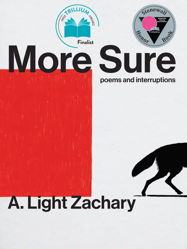 More Sure by A. Light Zachary cover