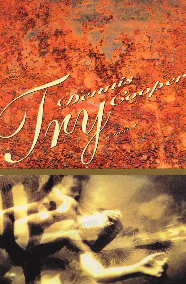 Try by Dennis Cooper cover