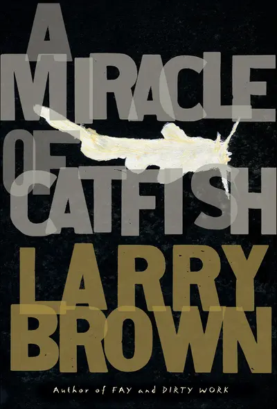 A Miracle of Catfish book cover