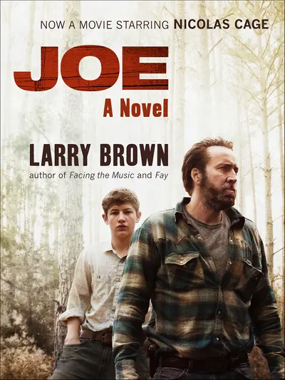 Joe book cover