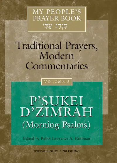 My People's Prayer Book Vol 3 book cover