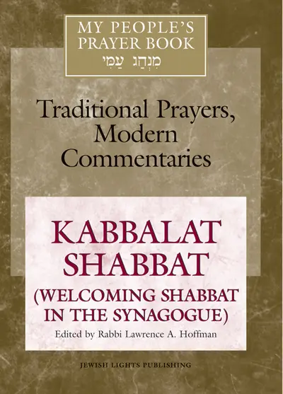 My People's Prayer Book Vol 8 book cover