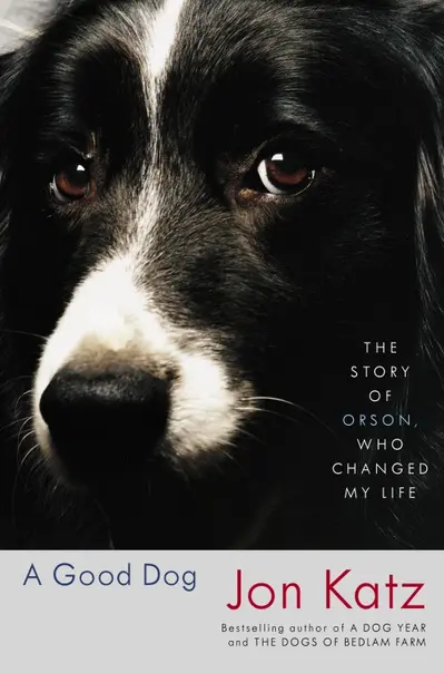 A Good Dog book cover