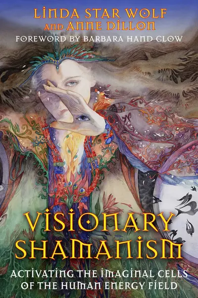 Visionary Shamanism book cover