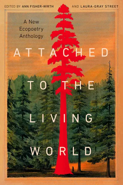 Attached to the Living World book cover
