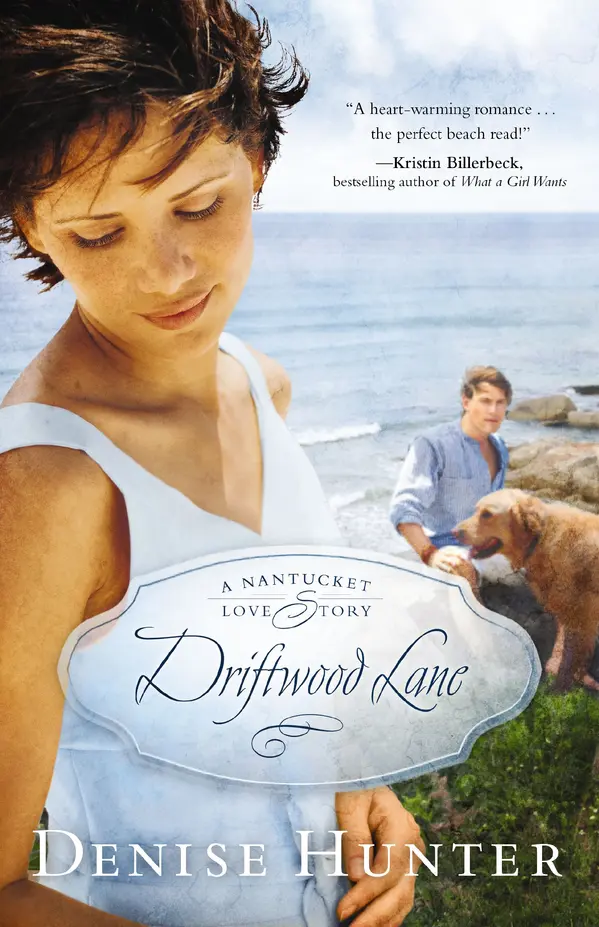 Driftwood Lane by Denise Hunter cover