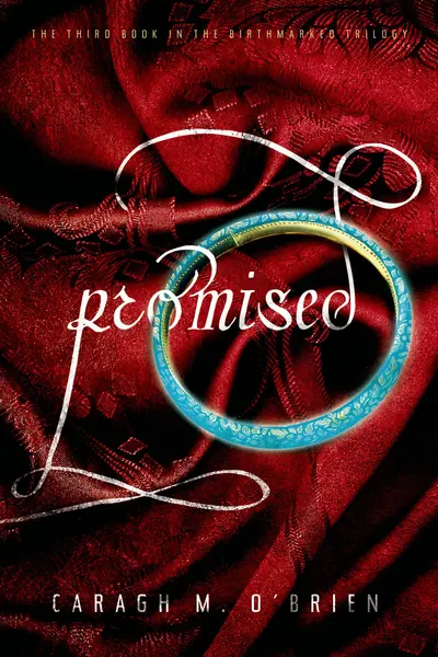 Promised book cover