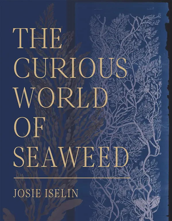 The Curious World of Seaweed by Josie Iselin cover