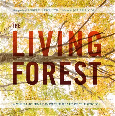 The Living Forest book cover