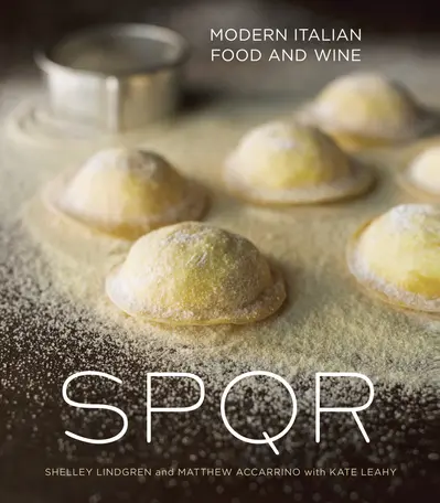 SPQR book cover
