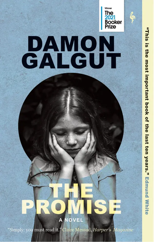 The Promise by Damon Galgut cover