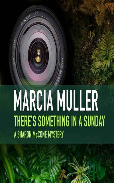 There’s Something in a Sunday book cover