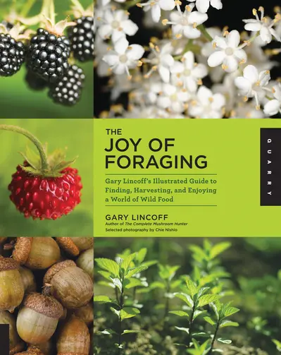 The Joy of Foraging book cover