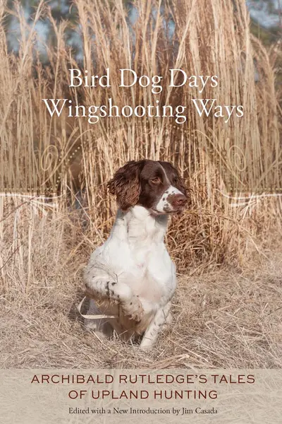 Bird Dog Days, Wingshooting Ways book cover