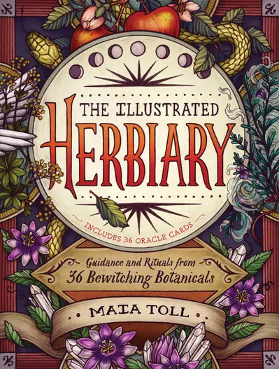 The Illustrated Herbiary book cover
