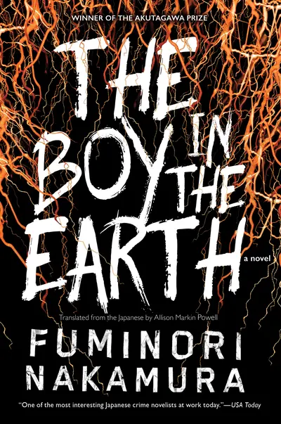 The Boy in the Earth book cover