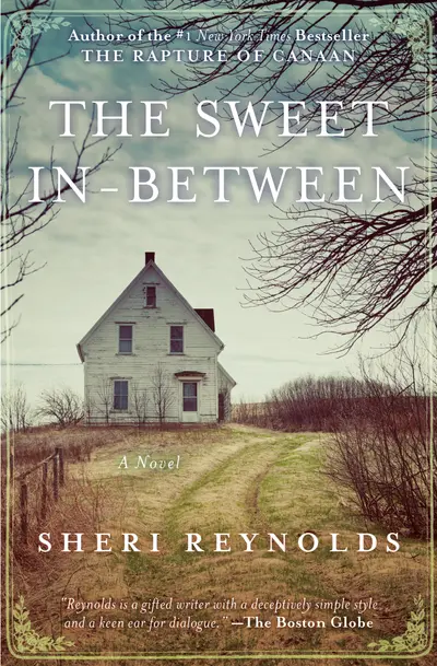 The Sweet In-Between book cover