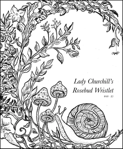 Lady Churchill’s Rosebud Wristlet No. 40 book cover
