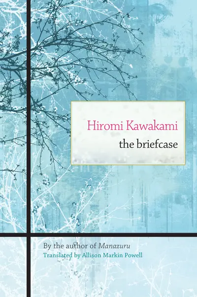 The Briefcase book cover
