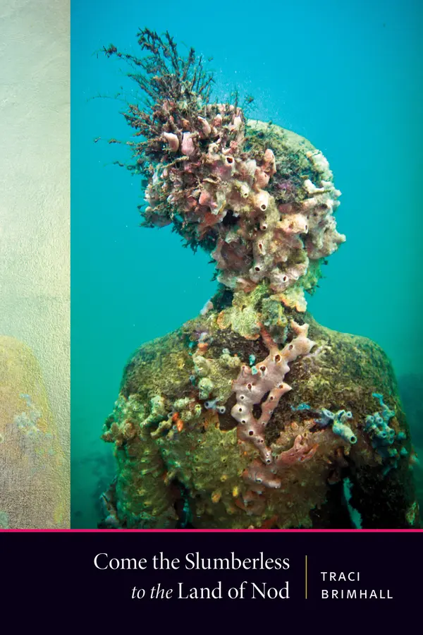 Come the Slumberless To the Land of Nod by Traci Brimhall cover